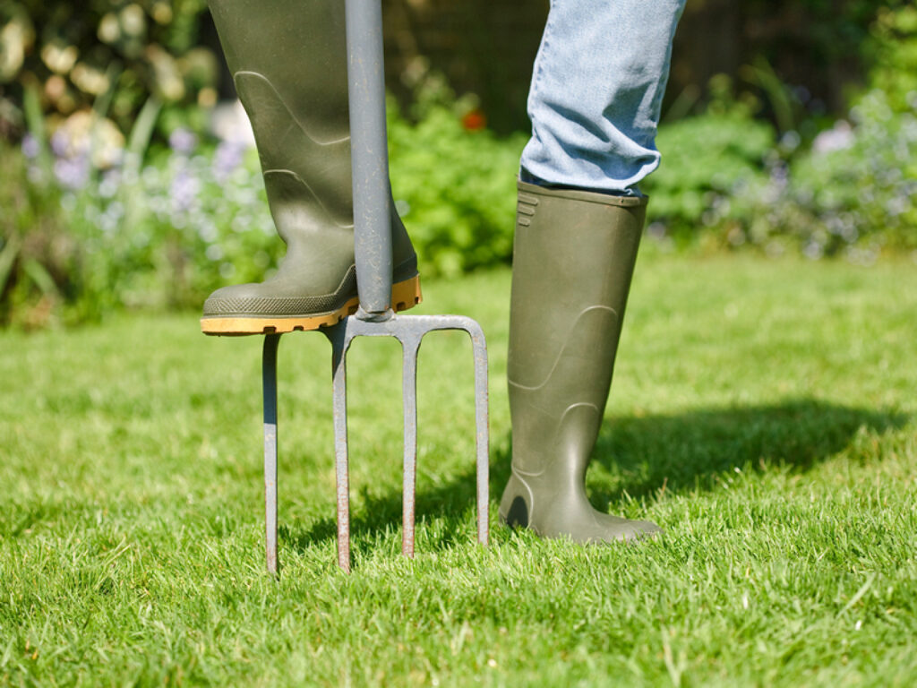 man digging in lawn						
