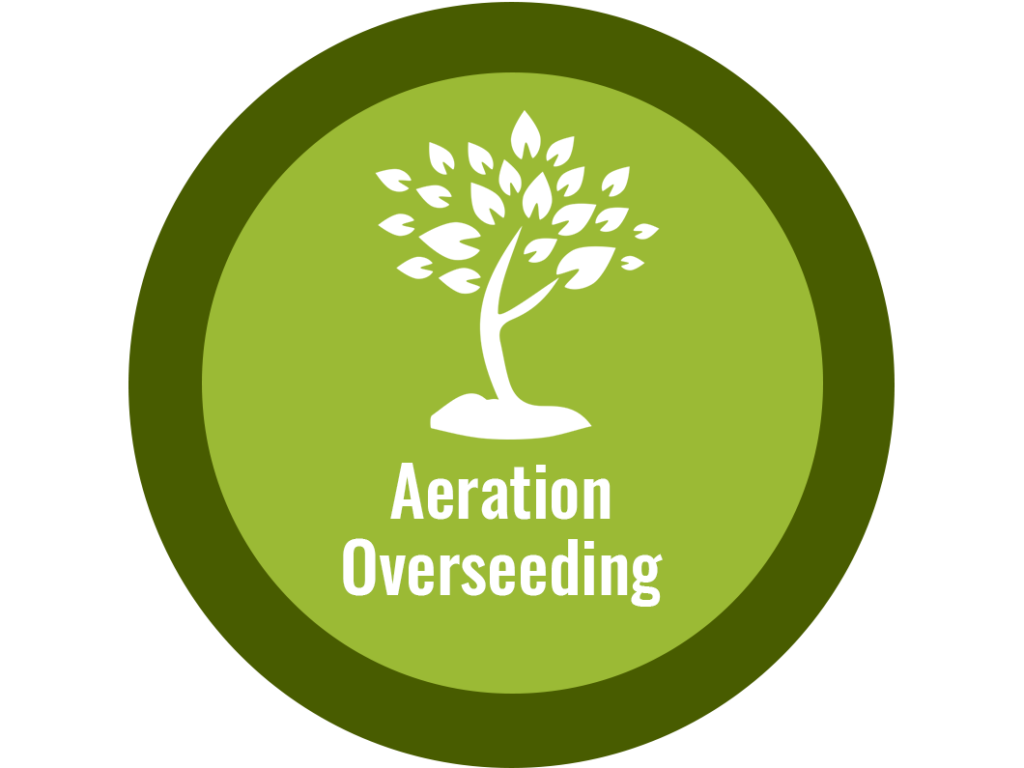 Lawn Care in Matthews & Pineville NC by Scenic View Lawn Care