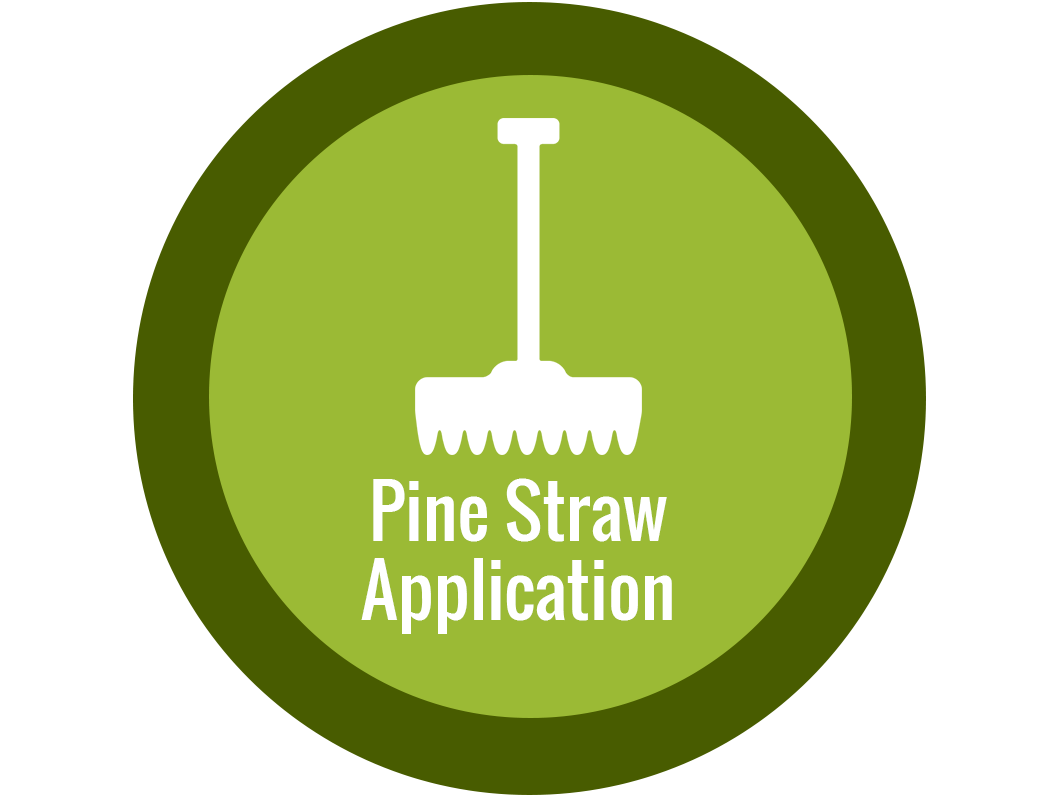 Lawn Care in Matthews & Pineville NC by Scenic View Lawn Care