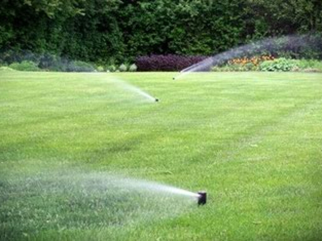 sprinklers watering lawn						
